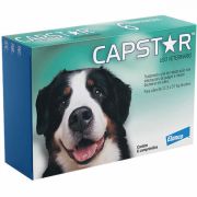 Antipulgas Elanco Capstar para Cães Acima de 11,5kg