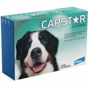 Antipulgas Elanco Capstar para Cães Acima de 11,5kg Antipulgas Elanco Capstar para Cães Acima de 11,5kg