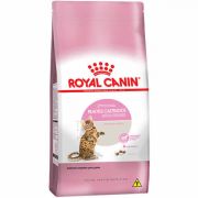 Ração Royal Canin Gatos Castrados Kitten