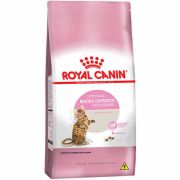 Ração Royal Canin Gatos Castrados Kitten Ração Royal Canin Gatos Castrados Kitten