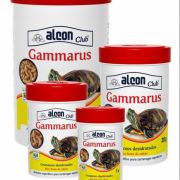 Ração Gammarus Alcon