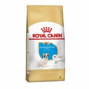 Ração Royal Canin Bulldog Francês Puppy Ração Royal Canin Bulldog Francês Puppy