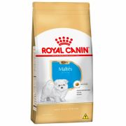 Ração Royal Canin Maltês Puppy Ração Royal Canin Maltês Puppy